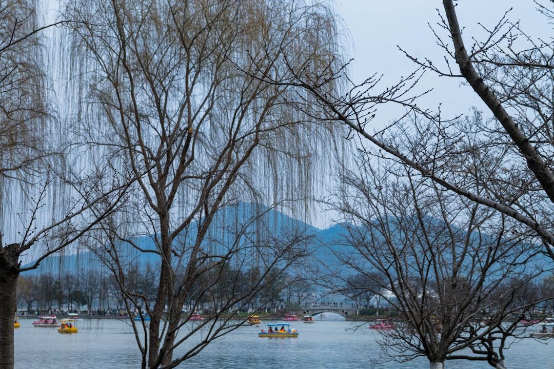导游